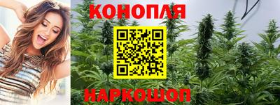 mdpv Моздок