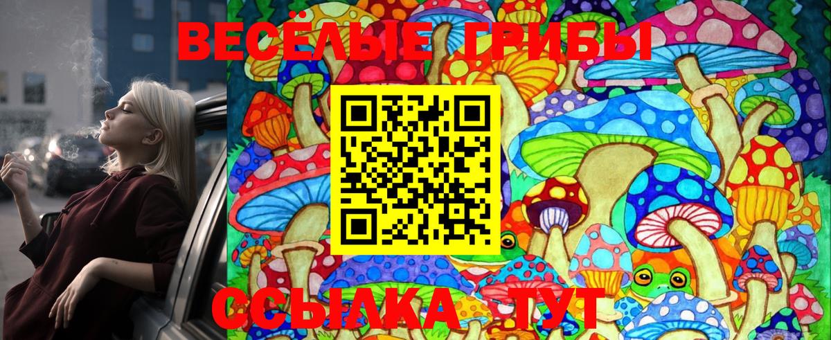 Галлюциногенные грибы Psilocybe  Вход с VPN  наркота  Спасск-Дальний 