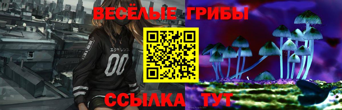 Псилоцибиновые грибы Psilocybe Спасск-Дальний